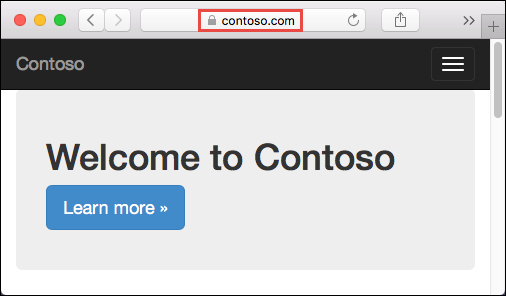 Screenshot that shows a web app with a custom TLS/SSL certificate.