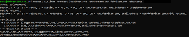 Screenshot of OpenSSL certificate verification.