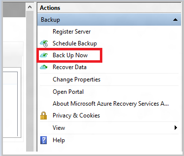 Screenshot shows how to initiate the offline backup using Backup Now.
