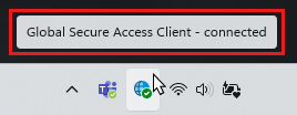 Screenshot that shows a connected client.