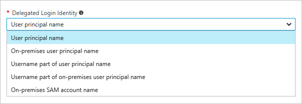Screenshot that shows the Delegated Login Identity dropdown options.