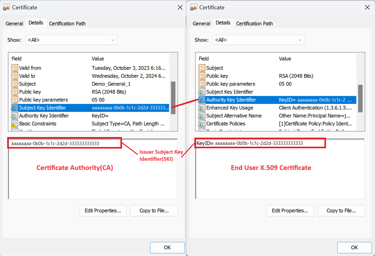 Screenshot that shows an authority key identifier.
