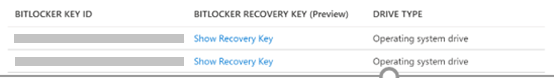Screenshot showing Bitlocker metadata in Azure portal.