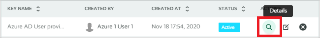 Screenshot showing the location of the Details icon, which is a magnifying glass, in the Playvox user interface.