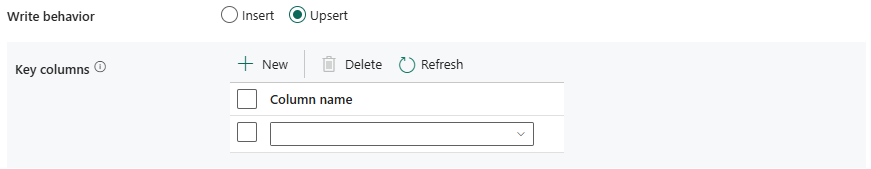 Screenshot of the upsert write behavior.