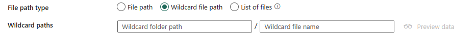 Screenshot showing wildcard file path.
