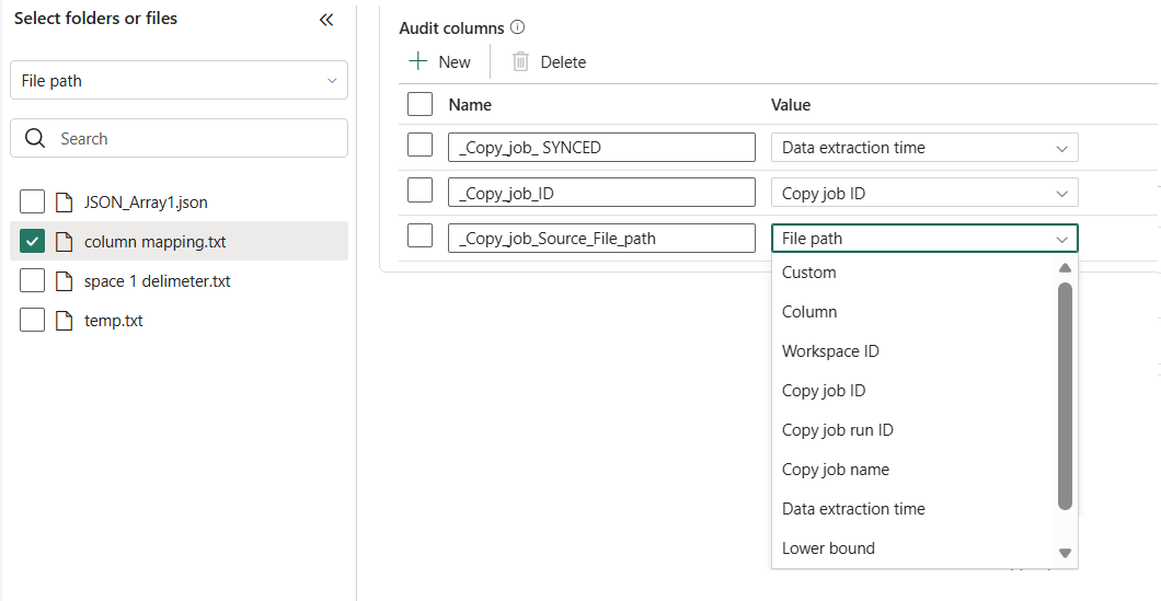 Screenshot of configuring Audit Columns in Copy job.