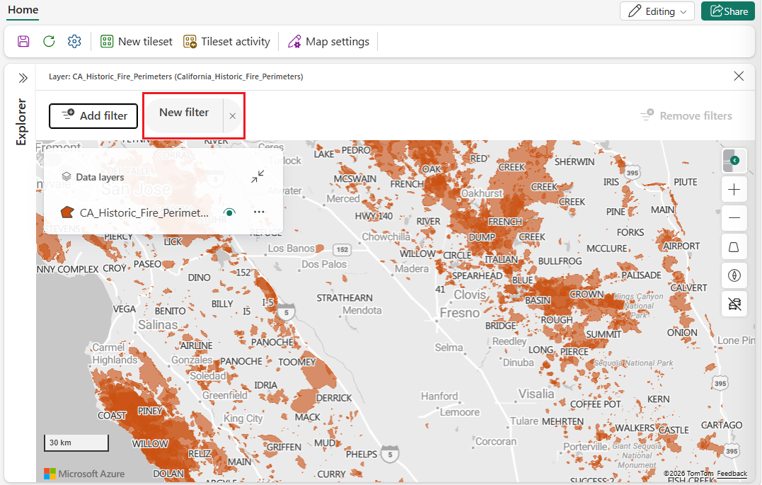 A screenshot of the Fabric Maps filter panel showing a New filter button with a filter icon positioned next to the Add filter button at the top of the panel.