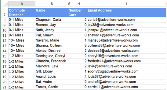 Screenshot of an exported report in Excel, with no empty cells. Each row contains a distance value and a name, among other data.