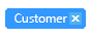 0303-185_TagSelectedHover Selected tag with Close (×) glyph on hover