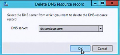Screenshot showing how to verify that the correct DNS server is selected and delete the records.