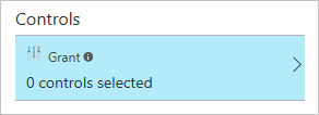 Screenshot of the Grant option.
