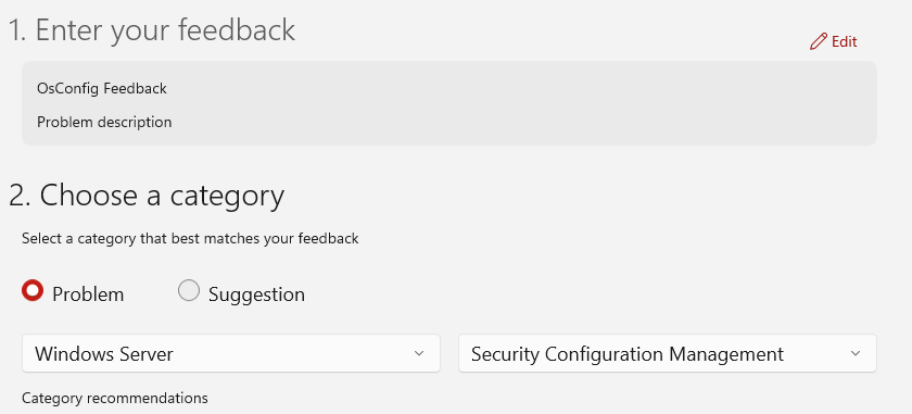 Screenshot of the Feedback Hub showing a problem report with the Windows Server category and Security Configuration Management subcategory selected.