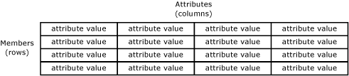 Master Data Services Entity Represented as Table Master Data Services Entity Represented as Table