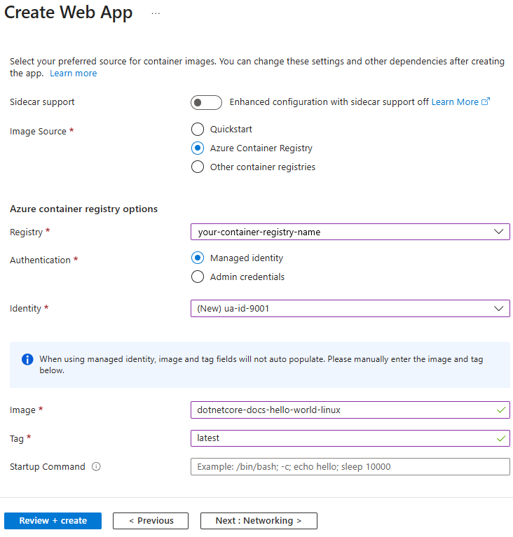 Screenshot der Azure-Containerregistrierungsoptionen.