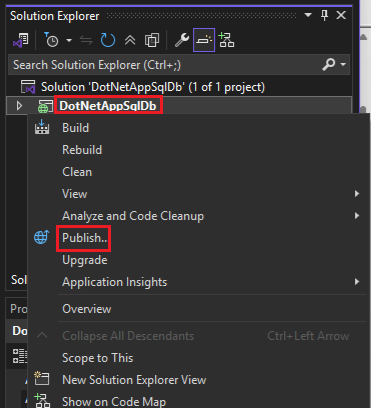 Screenshot: Auswählen von „Veröffentlichen“ im Projektmappen-Explorer.