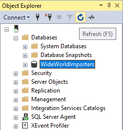 Screenshot des Object Explorers. Die wiederhergestellte Datenbank wird hervorgehoben.
