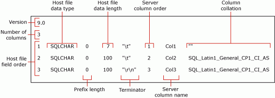 Diagramm, das die standardmäßige Nicht-XML-Formatdatei für mytestskipcol enthält.