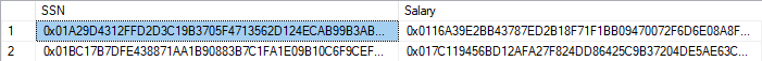 Screenshot der Chiffretext-Ergebnisse aus verschlüsselten Spalten.