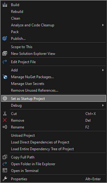 Screenshot, der das Festlegen des Startprojekts zeigt.