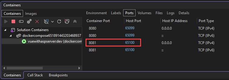 Screenshot mit Docker-Containerports.