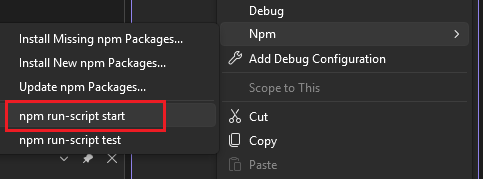 Ausführen eines Startskripts aus dem npm-Menü