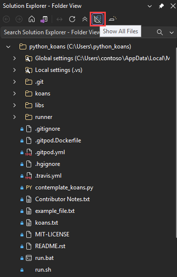 Screenshot, der zeigt, wie ausgeblendete Ordner und Dateien in Visual Studio angezeigt werden.