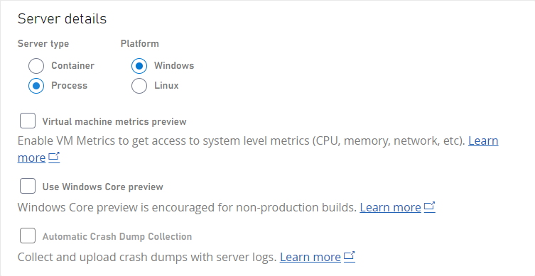 Serverdetails mit ausgewähltem Windows-Prozess als Betriebssystem und Servertyp