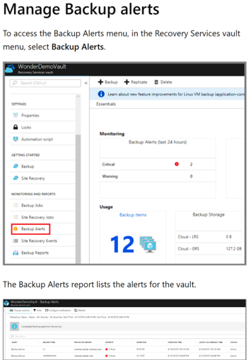 Screenshot that shows the Backup alerts report.