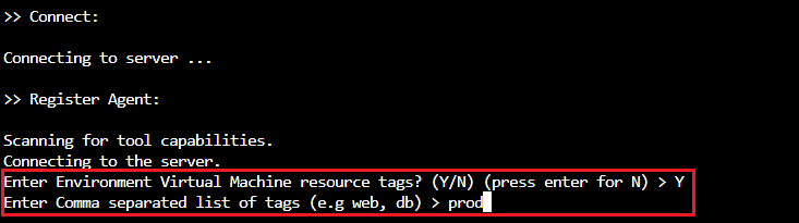 Screenshot that shows setting VM tags in the interactive script.