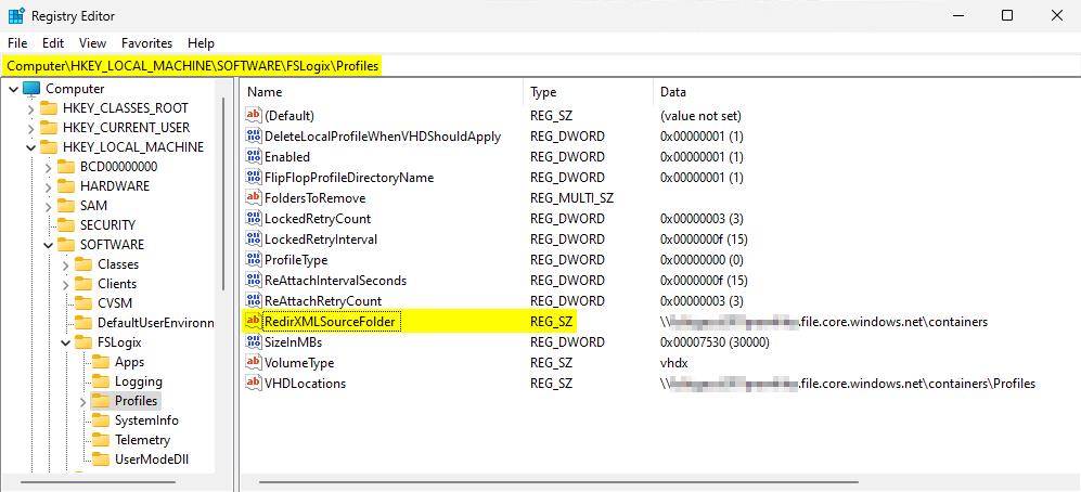 Captura de pantalla que muestra los perfiles del Registro.