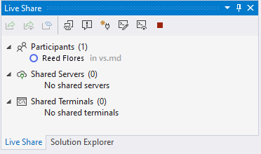 Captura de pantalla que muestra la ventana de la herramienta Visual Studio Live Share con un participante.