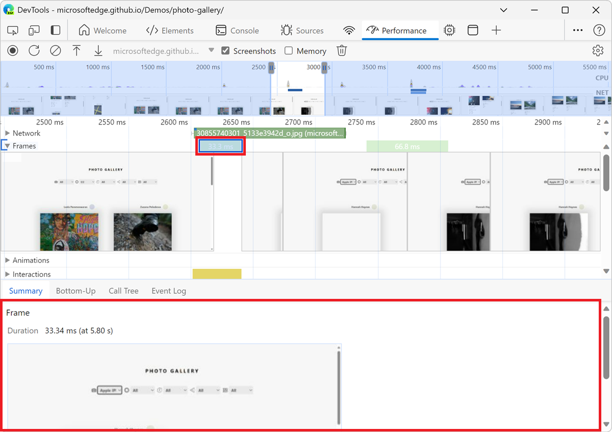 Viewing a frame in the Summary tab