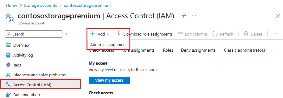 Screenshot che mostra le impostazioni di Controllo di accesso (IAM).