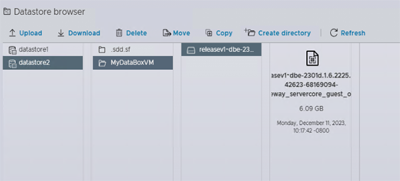 Screenshot che mostra due file VMDK uniti in un singolo file all'interno della finestra Del browser dell'archivio dati.