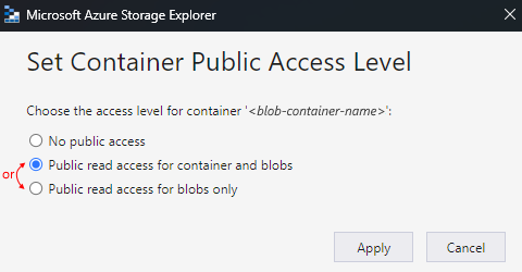 Screenshot che mostra le opzioni per impostare il livello di accesso pubblico del contenitore.