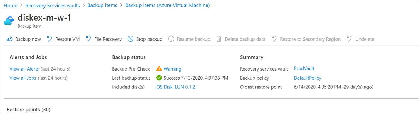 Screenshot che mostra i dischi inclusi ed esclusi nel riquadro dei dettagli del backup.