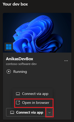 Screenshot del riquadro della dev box che mostra l'opzione per l'apertura in un browser.