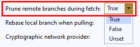 Screenshot dell'impostazione **Prunare rami remoti durante il recupero** in Impostazioni globali in Team Explorer in Visual Studio 2019.
