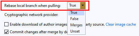 Screenshot dell'impostazione di rebase nelle Impostazioni globali in Team Explorer in Visual Studio 2019.
