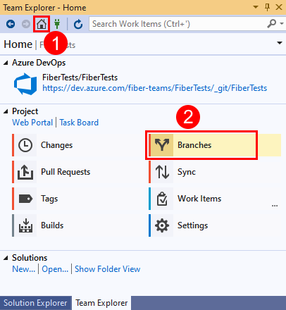Screenshot che visualizza l'opzione Branch in Team Explorer in Visual Studio 2019.