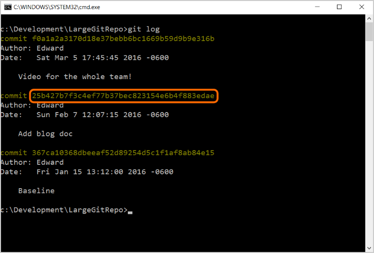 Screenshot che mostra il prompt dei comandi per il commit video.