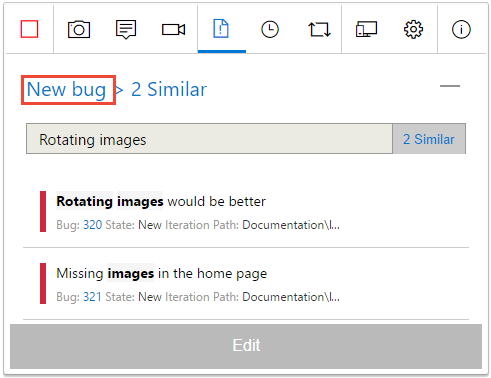 Screenshot che mostra il ritorno al modulo dettagli del bug.