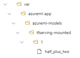 Screenshot che mostra una visualizzazione ad albero della struttura della directory di distribuzione. Il percorso var/azureml-app/azureml-models/tfserving-mounted/1 è visibile.