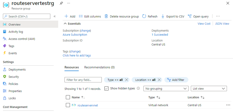 Screenshot che mostra il gruppo di risorse dell'implementazione del Route Server con la rete virtuale e le risorse correlate.