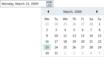 Controllo DatePicker Controllo