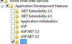 Screenshot che mostra la casella di controllo Internet Information Services che evidenzia la casella di controllo C G I.