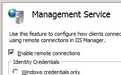 Screenshot della schermata Servizio di gestione con l'opzione Abilita connessioni remote selezionata.