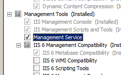 Screenshot che mostra l'opzione Servizio di gestione selezionata per Windows Server 2008.