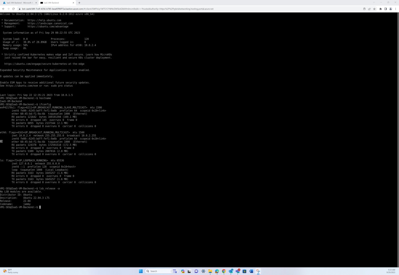 Linux output del sistema operativo con ID, descrizione, cronologia delle versioni e nome di codice.
